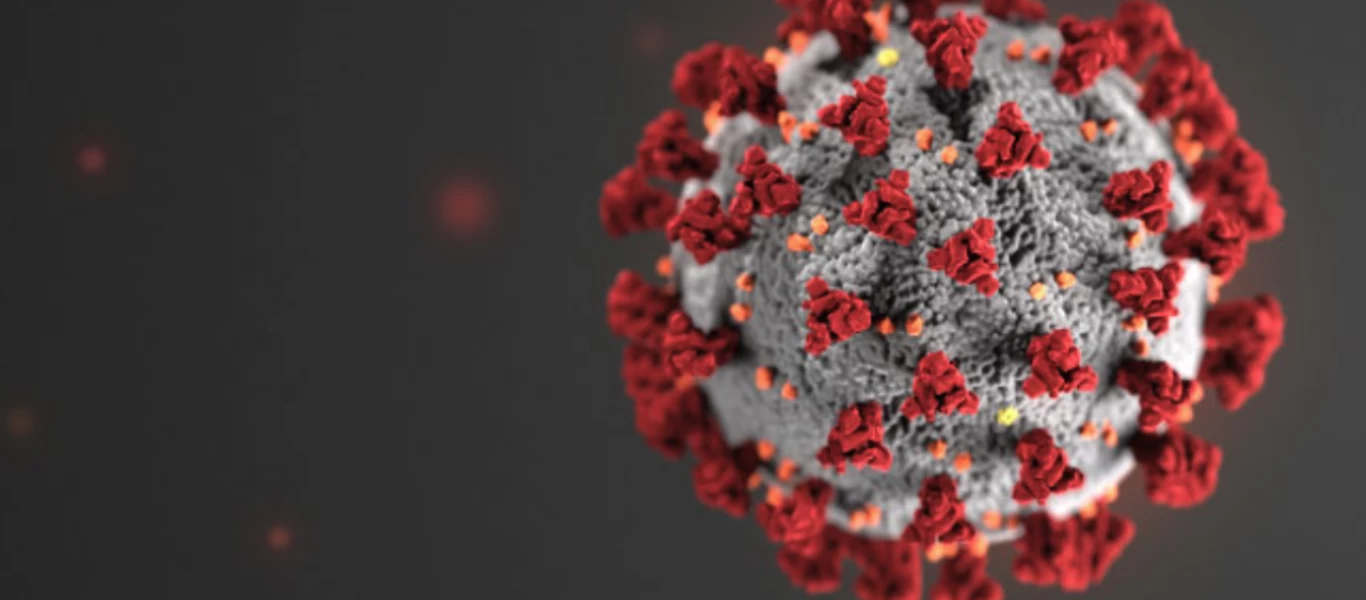 Καταγράφηκαν 168 νέοι θάνατοι και 1.487 νέα κρούσματα κορωνοϊού μέσα σε ένα 24ωρο στο Βέλγιο